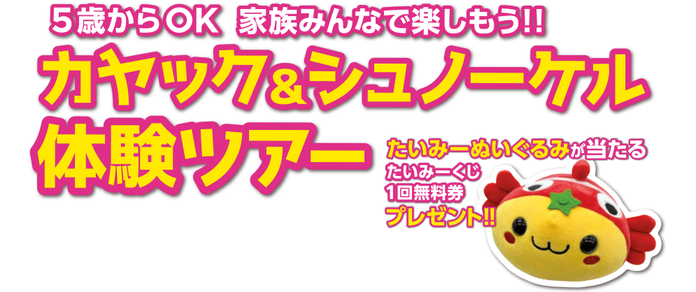 南伊勢町アクティビティキャンペーン 2025 夏　参加申込フォーム